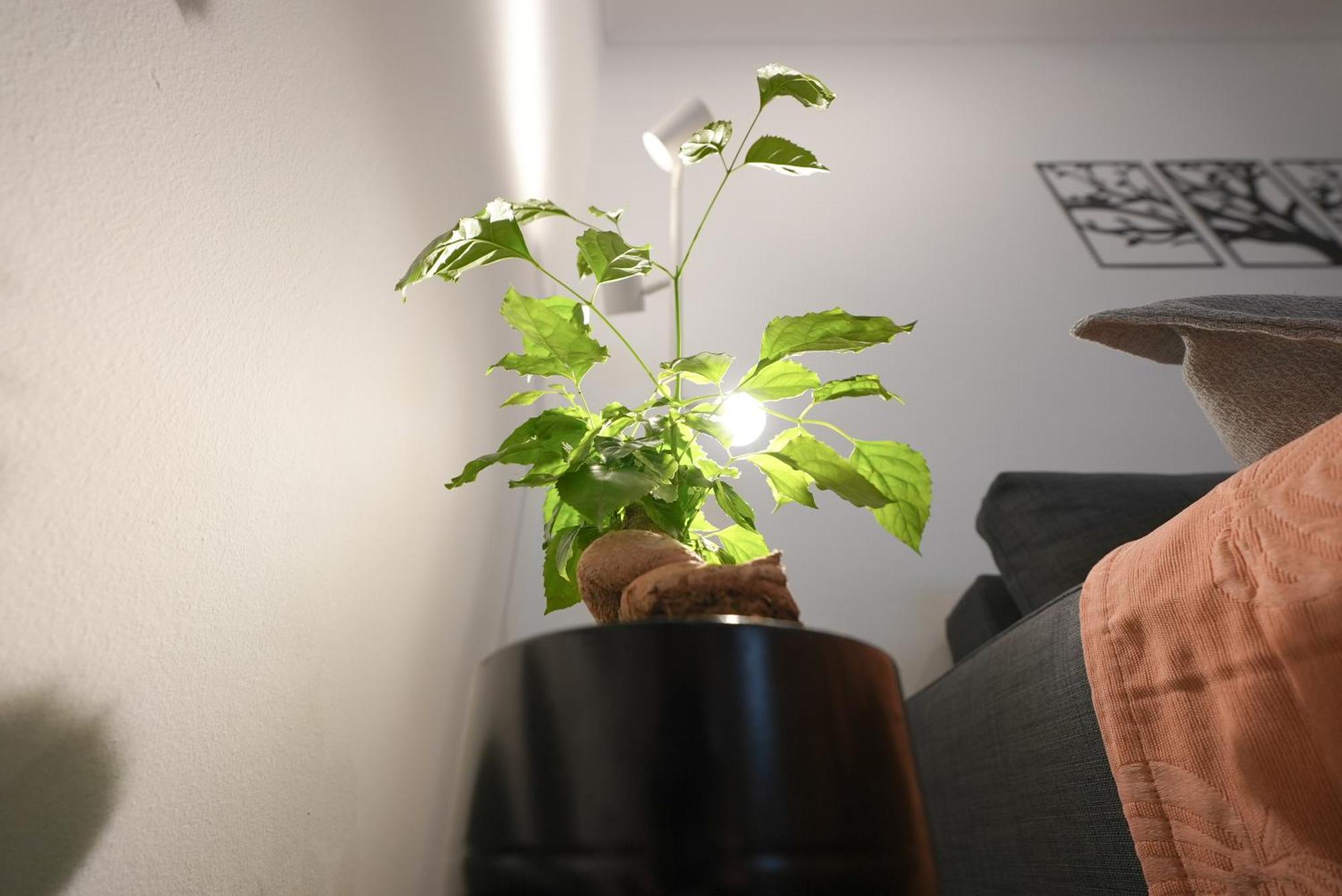 Appartement Syntagma Square, 50sqm Nikis Luxurious